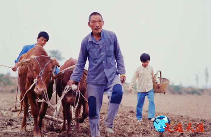 4 第一次到关公故里中条山下,关乡父老正在耕耘黄土地(朱正明 摄影).jpg