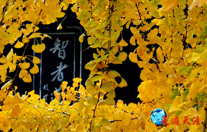 6 玉泉寺智者道场匾额,当年由赵朴老亲手题写.jpg