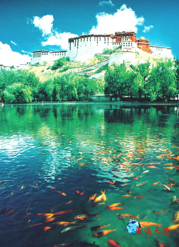 3 拉萨布达拉宫脚下的龙王潭,水清见底,游鱼如梭(1995年).jpg