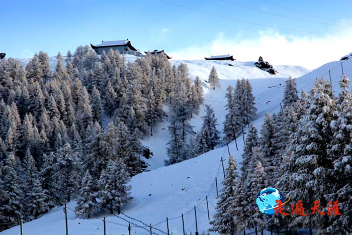 5 下山途中,回望天山之巅,风雪消停,阳光灿烂,天山松们簇拥着山巅的关帝殿堂.jpg