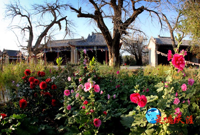 5 殿堂前,生长着古榆树和艳丽的花儿.JPG