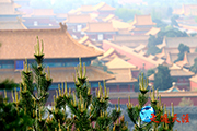  102 京城奇观：历代帝王庙耸立关帝殿堂