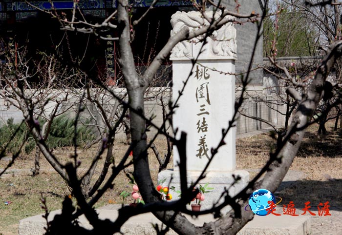 1 早去了几天,三义宫结义古碑前的桃花含苞未放.jpg