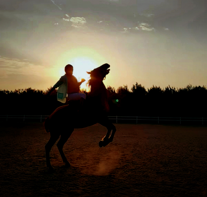 1 在塞北草原,苏英毅纵马驰骋.jpg