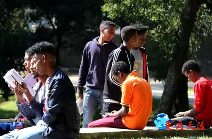 5 亚大学生聚集在树荫花丛中谈古论今,交流学业.jpg