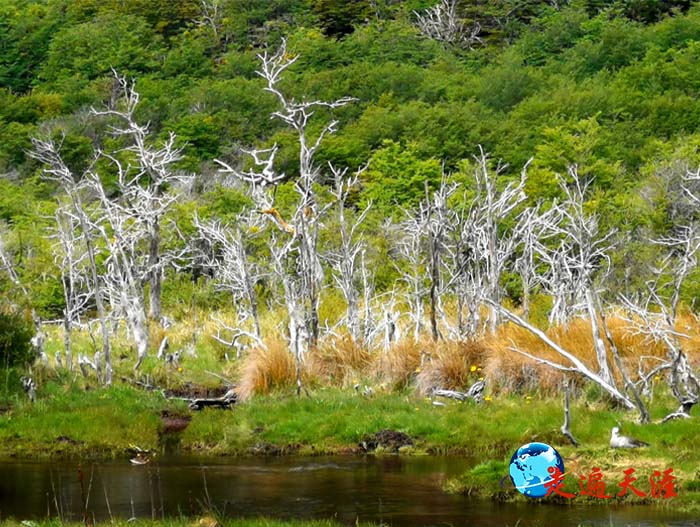9 世界尽头严酷的暴风雪,铸就了悲壮苍凉.jpg