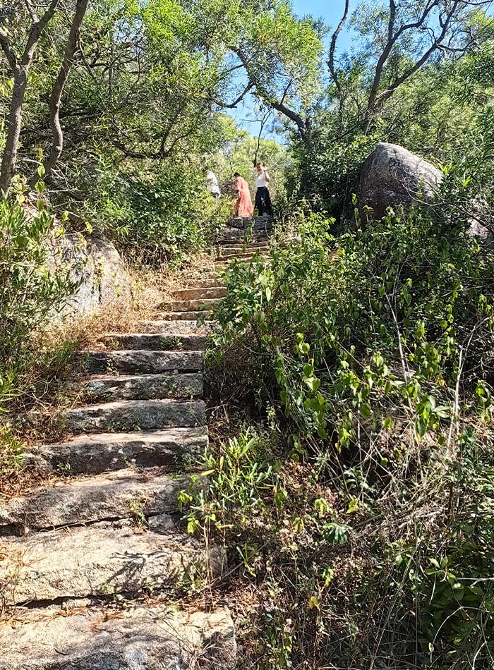 7 循石條登山步道攀登金榜山,野趣盎然.jpg