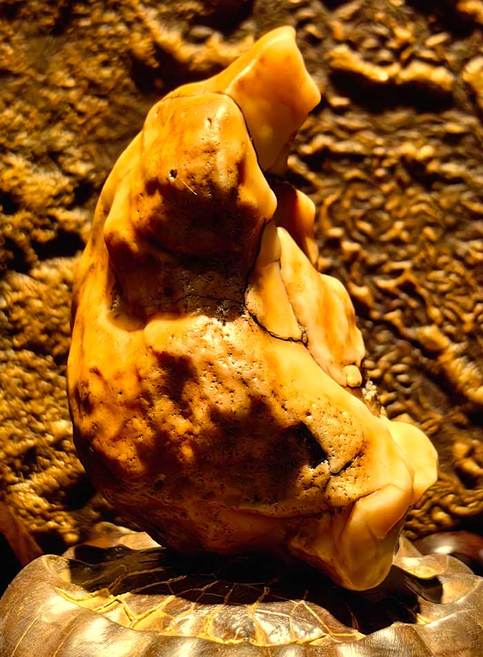 7 這尊珍貴的關公玉石,請您幫助取個名字.jpg