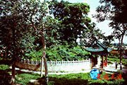 003  走进关帝古陵，在东汉墓室亲密接触关