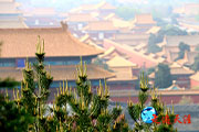 039  邀约北京 在中国新闻社当记者