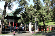 河南洛阳：鲜花簇拥关帝古林